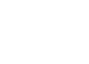 Peter McVerry Trust Logo